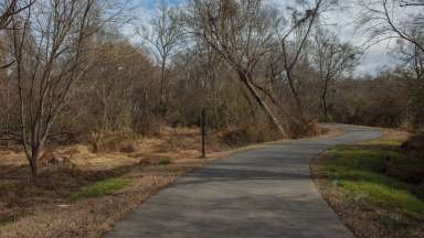 paved trail surrounded by grass and trees