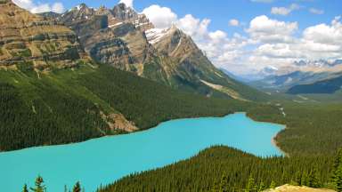 view of Peyto Lake Banff