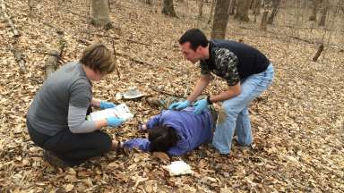 2 people in wooded area performing first aid on an injured person