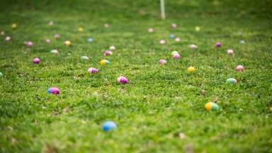 plastic eggs on grass