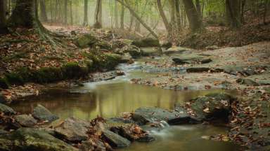image of a beautiful stream flowing through rocks in the forest
