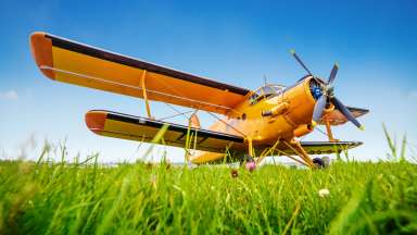 yellow propeller airplane on green grass