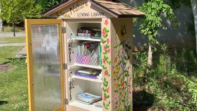 image of outdoor library kiosk opened showing available books