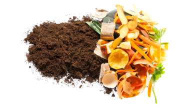 A photo of food scraps and dirt