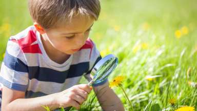 an image of a little boy with a red, blue and gray stripped shirt looking at a yellow flower with a magnifier.