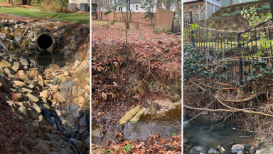 North Raleigh Stormwater Improvements