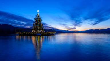 a decorated holiday tree sitting on a lake pier