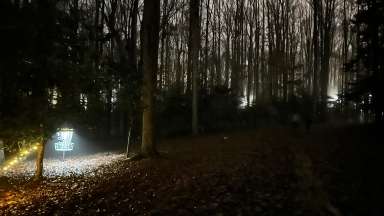 an image of the forest at night with a glow disc golf basket in the background