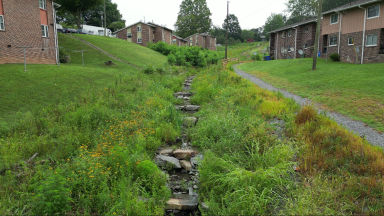 Example of green stormwater infrastructure
