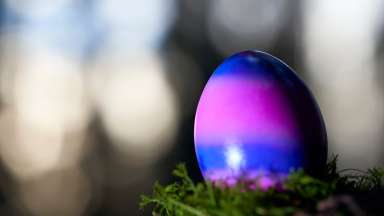 an image of a purple and blue striped egg sitting on grass in the dark