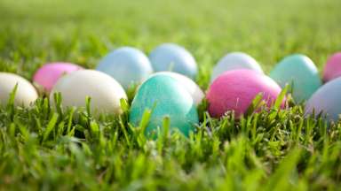 pastel eggs atop of lush green grass