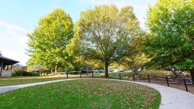 an image of Caraleigh park trees and sidewalk