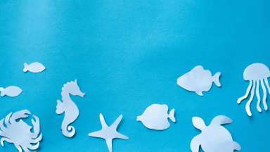 an image of sea animal cut outs on a blue felt background