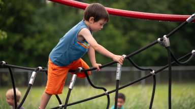 an image of a child playing on a jungle gym