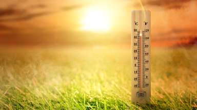 thermometer on the ground during hot weather