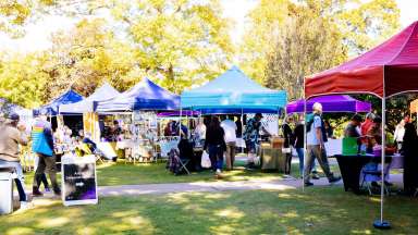 Outdoor art festival on a sunny day with grassy paths connecting brightly colored tents.