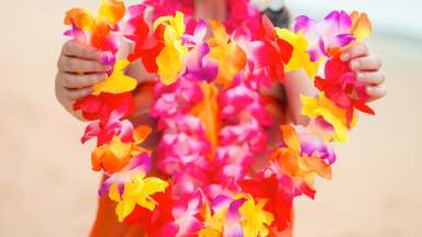 a person holding a colorful Hawaiian Lei