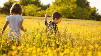 kids frolicking in a field if tall grass and dandelions