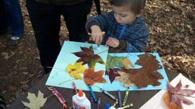 Child with a nature journal writing.