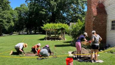 people digging in the dirt