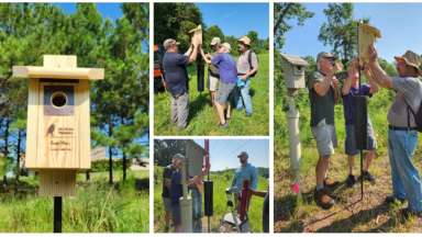 North Carolina Museum of Art Wildlife Habitat Enhancement - 2024 SWRA Winner - Community Impact