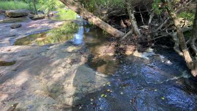 Raleigh Watershed