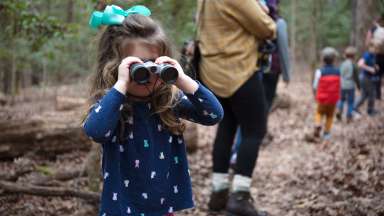 a young child using binoculars in the forest