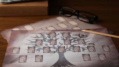 a genealogy tree