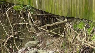 Birchford Court Erosion