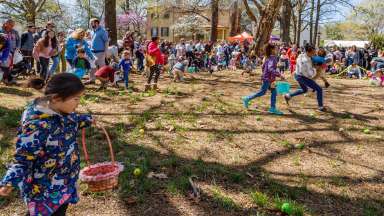 egg hunt