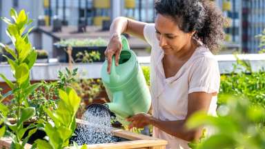 a person growing a garden