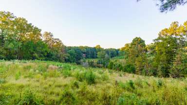 an image of the fields of Annie Louise Wilkerson, MD Nature Preserve Park