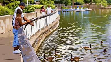 Rooted &amp; Growing: Neighborhood Change - Stylized image of people feeding the ducks at Pullen Park