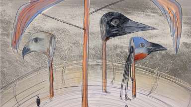 potential art of a bird boardwalk for the river cane wetland park