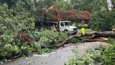Multiple tree limbs sititng in yard and road. A truck is working to clean up the debris