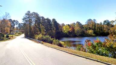 carolina pines