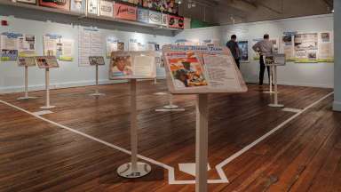 Diamond days Exhibit