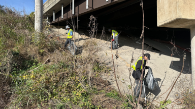 Workforce members clean trash