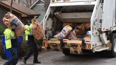 crews collecting yard waste and putting them in a refuse truck