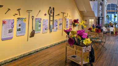 the Planting Power exhibit at the City of Raleigh Museum