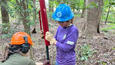 two volunteers in the woods