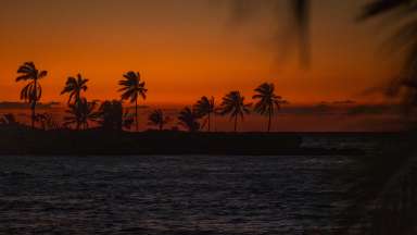 Silhouetted palm trees against a colorful sky. Montego Bay, Jamaica
