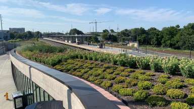 green roof