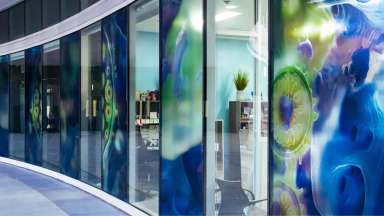 Photo of art installation on glass exterior of community center