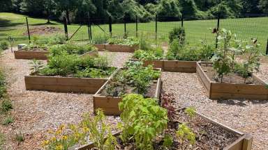 a garden at a community center