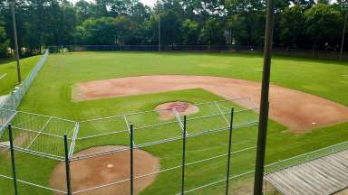 an image of a green softball field