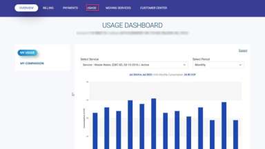 screenshot of new usage dashboard