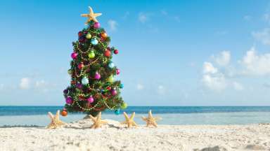 a christmas tree on a beach