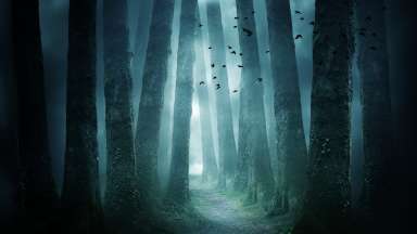 a spooky scene from a nightmare