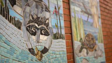 A mosaic artwork depicts a racoon washing a shell